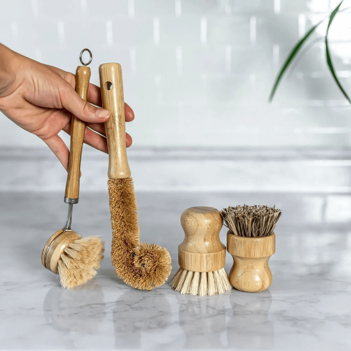 PuraNest™ Ultimate Bundle